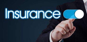 保险经纪人 您风险管理的专业伙伴与文化经纪人服务的独特价值